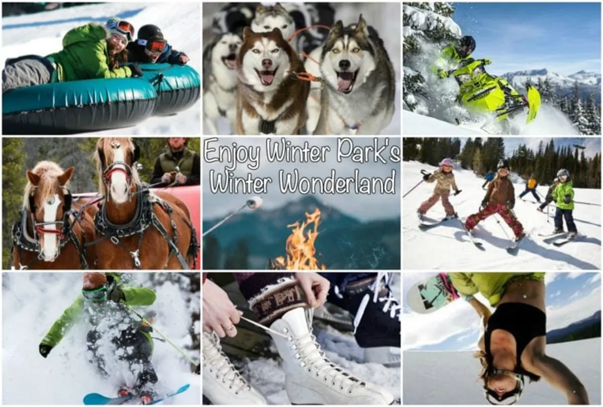 A lively montage of winter activities including snow tubing, dog sledding, snowmobiling, horse-drawn sleigh rides, cozy fires, skiing, ice skating, and snowboarding. The image evokes the excitement and diversity of winter adventures.